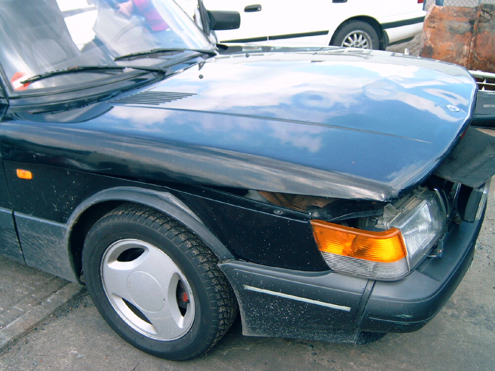 M4110603.thumb.JPG.a596e769aa7aaeec837b3b0fa93c1967.JPG