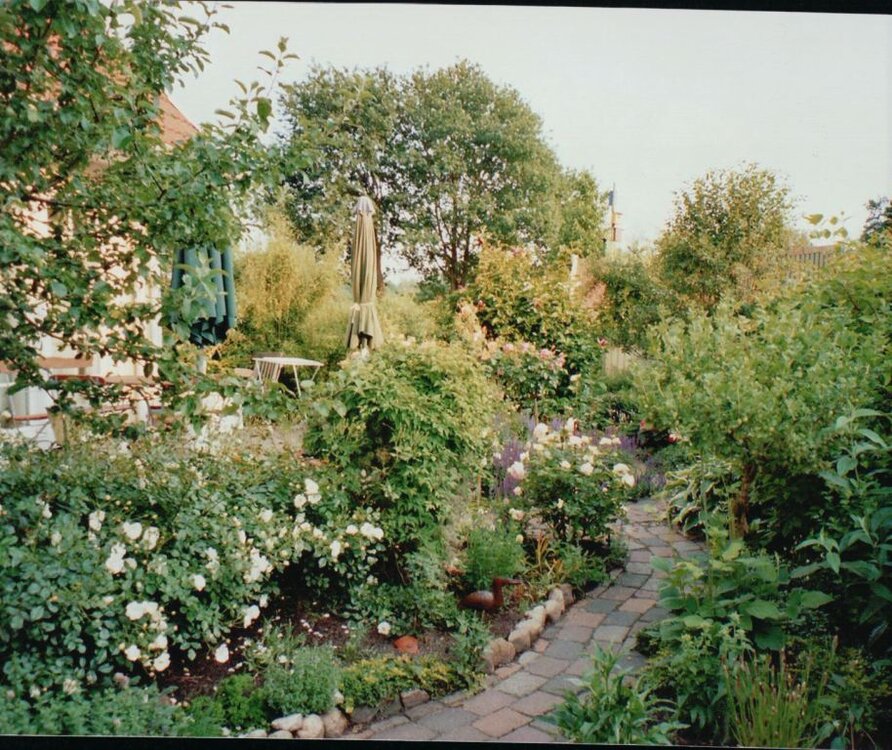 MED_0021.thumb.JPG.e6ef4c2b3f8cbfceee8b1617f8866f81.JPG