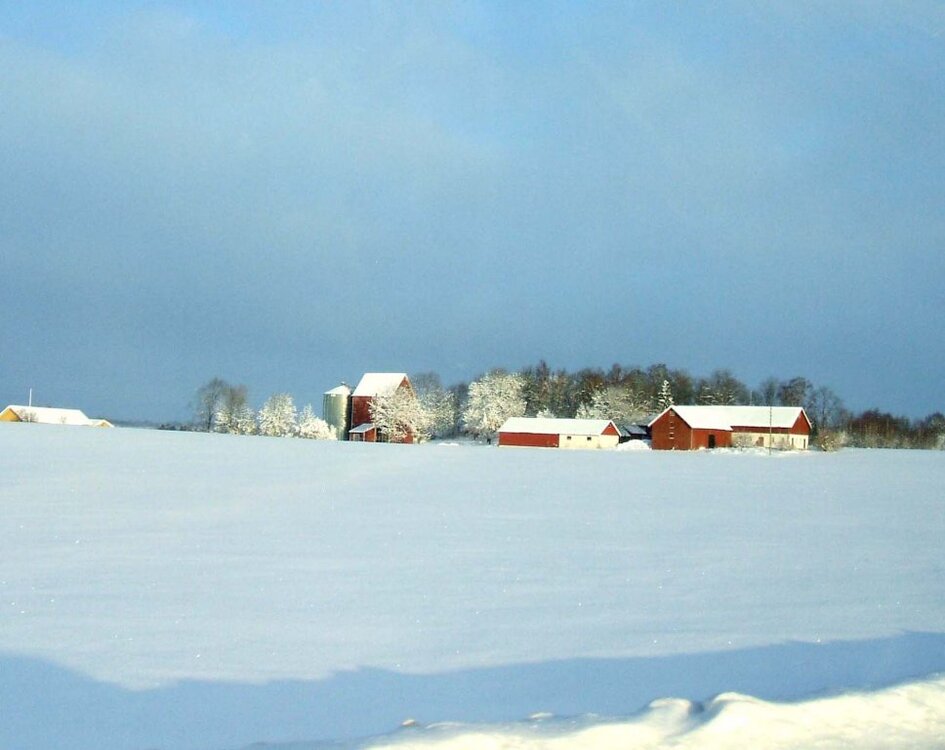 Malga2-001a.thumb.jpg.989e8178e621b4eac552459d669d180a.jpg