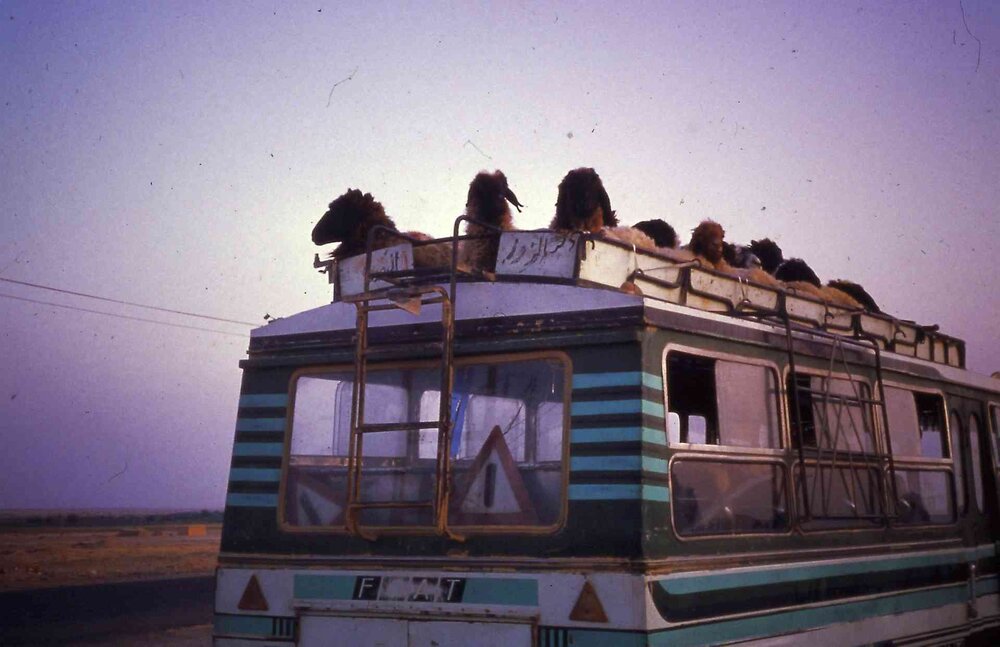 Microbus_01.thumb.jpg.cd794ace2334c7dc75183f34e287451a.jpg