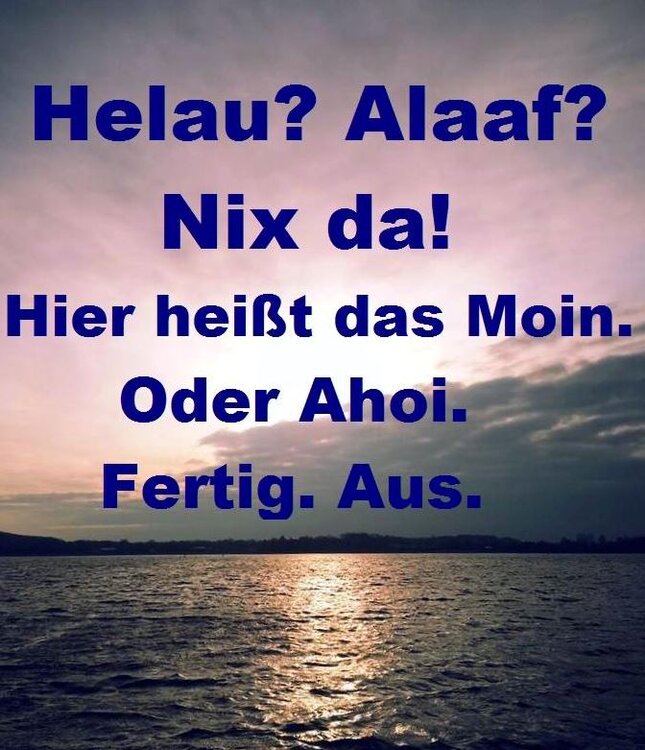 Moin.thumb.JPG.ae765ed5769042aca4c67a29620a2b3c.JPG
