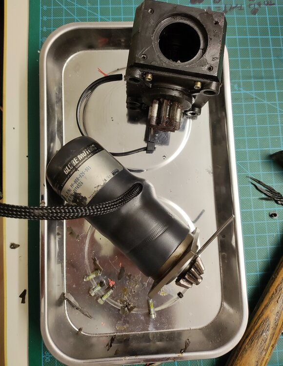 Motor_Getriebe.thumb.jpg.4085ac843b08adf621cd5eb556c4bf33.jpg