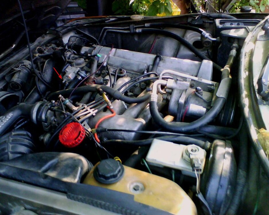Motoraum.thumb.jpg.3cedca8e93493edba553d164e17205c3.jpg