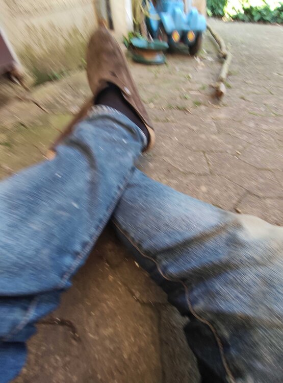 Mueslis.thumb.jpg.704e04a9aeb1f0af4939448c6971eaca.jpg