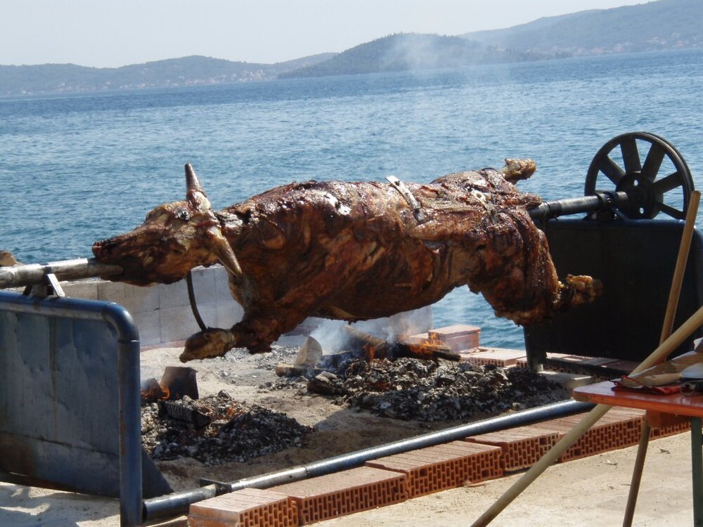 Ochs_am_Spiess_in_zadar_2007_004.JPG.thumb.jpg.2db1b5c3c8859e411f65ba89b100d7b9.jpg