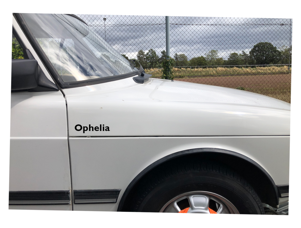 OpheliaGill.thumb.png.247df8ec8914cd1488cd6201493a47b9.png
