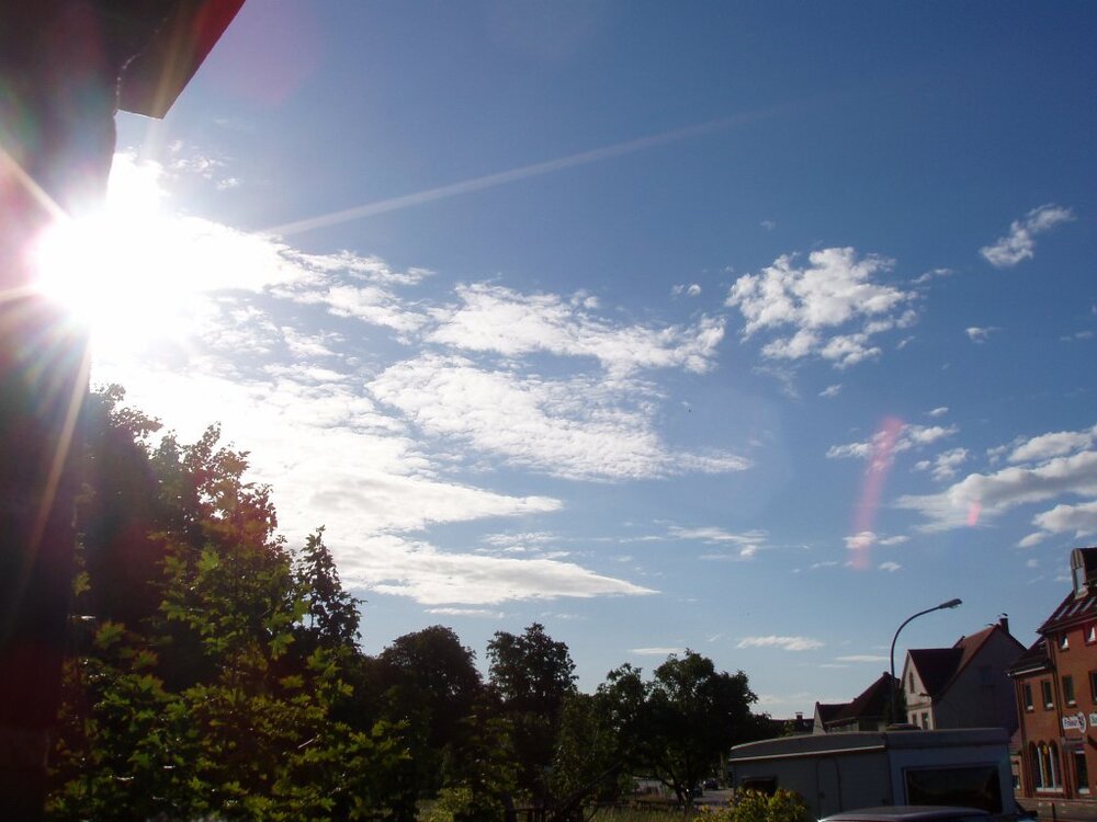 P1010021.thumb.jpg.a51f375ac1bd2ee9fe3eed6fceb52bc6.jpg