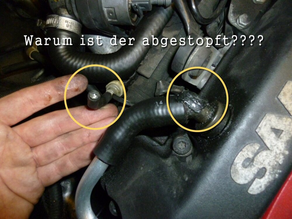 P1030247s.thumb.jpg.a19e00d97a7f443472dd1a60db7ddce5.jpg