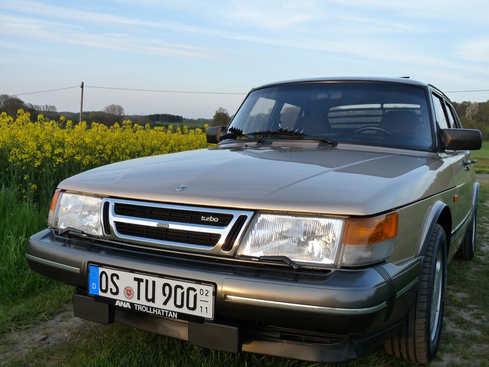 P1040422.thumb.JPG.8fb6545fc7f66a7d140cf3b2f284443f.JPG