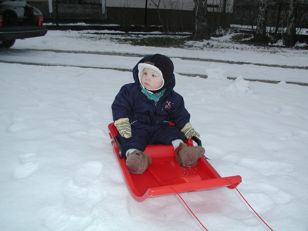P1240014.thumb.JPG.f42c6749a8ed586cd7ec8ae88d0cafc7.JPG