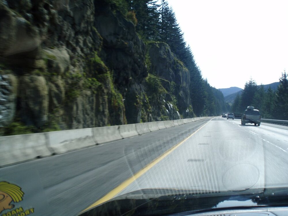 P4100623.thumb.jpg.dfc8af24c3c3c60412f79d2ec5ab74f5.jpg