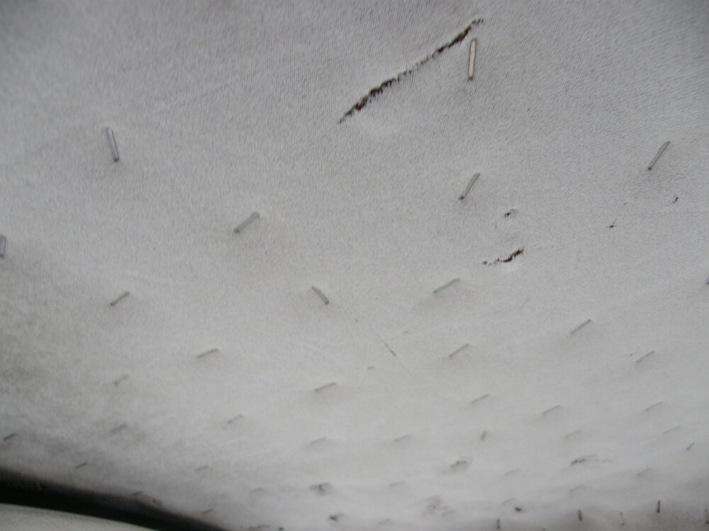 PA260279.thumb.JPG.e704ef51bf6db628b6ee2c61f4bb5620.JPG