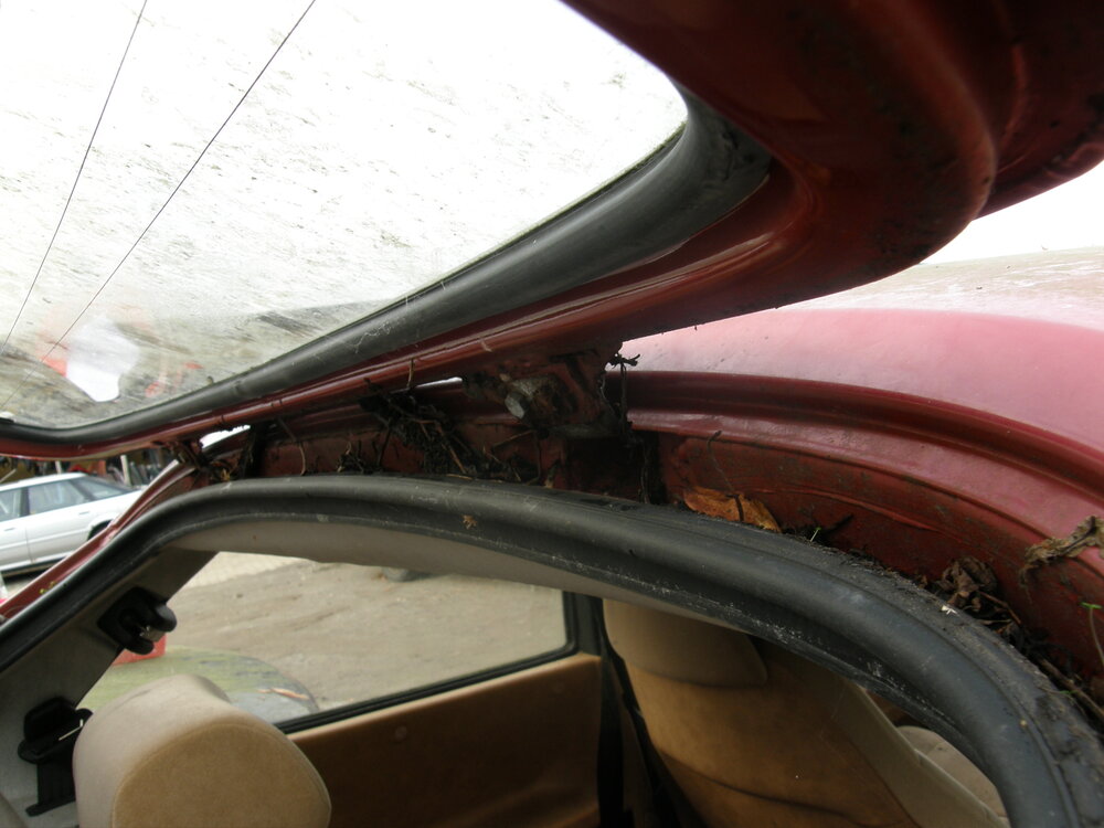 PA260294.thumb.JPG.1c6b887afda85af811170f3f1d37ff65.JPG