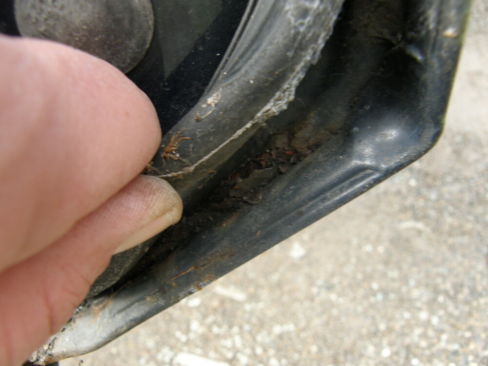 PA260296.thumb.JPG.dfb3f01634ce518e6281cae617678d65.JPG