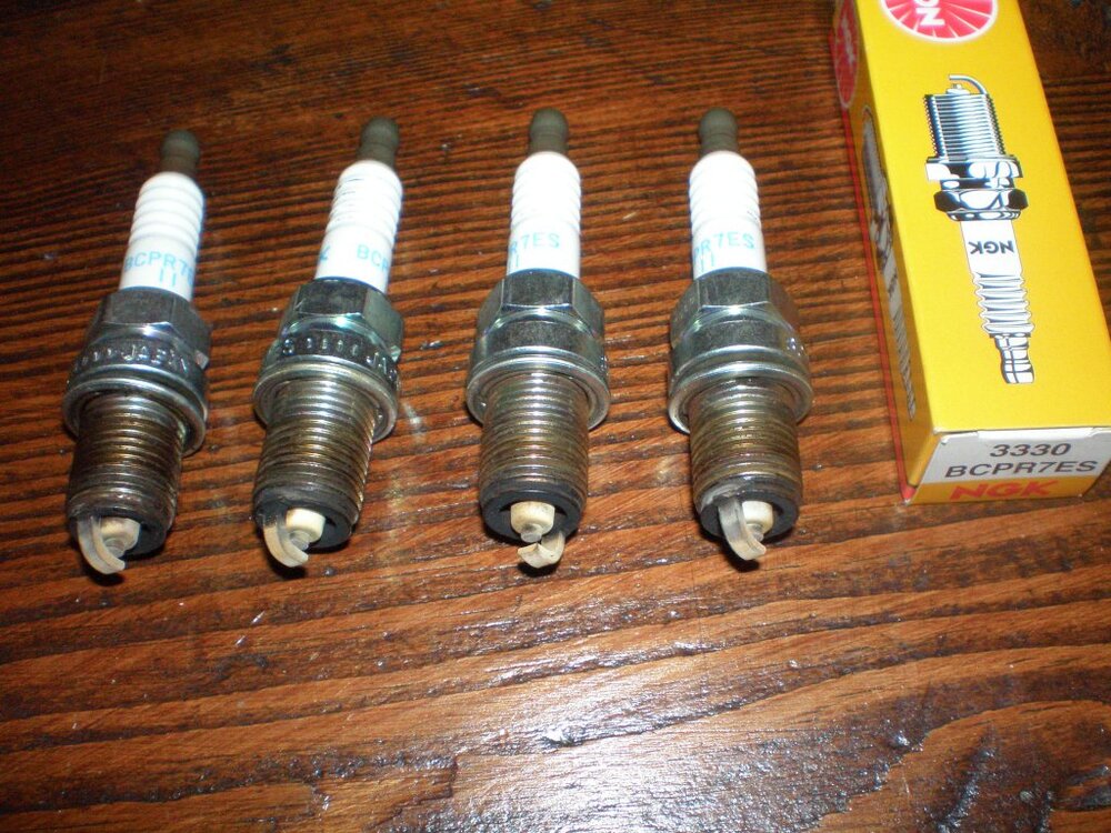 PC240009.thumb.jpg.98e22f67a6988820be080c7edd1e62e7.jpg
