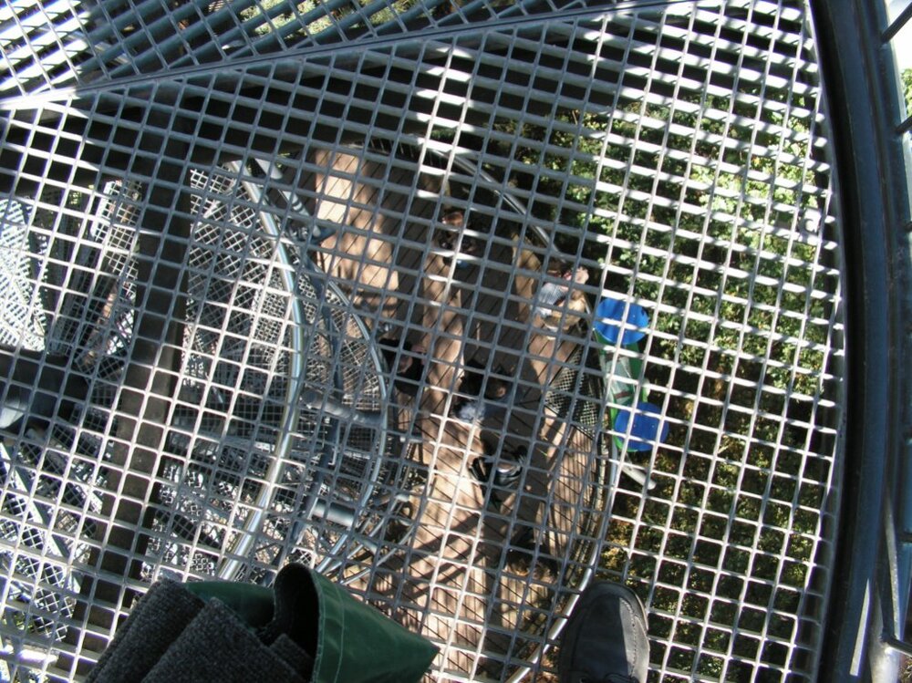 PICT0016.thumb.jpg.a877fa58636a99b53f0030f0b6f21e76.jpg