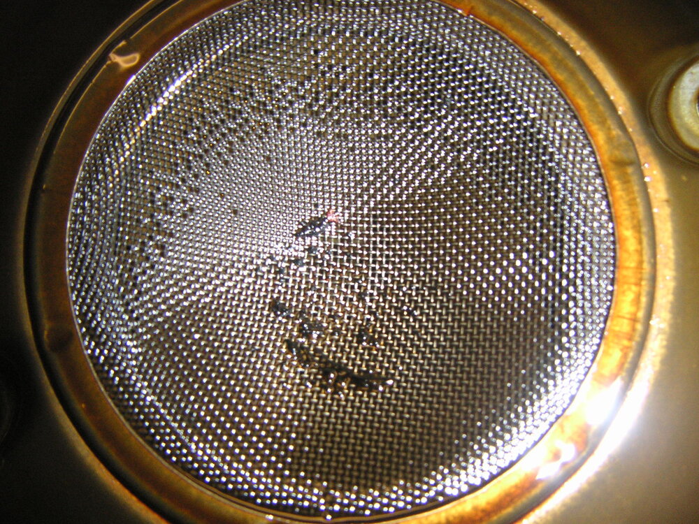 PICT0062.thumb.JPG.71672f18c6547c159fd61298daa936dc.JPG