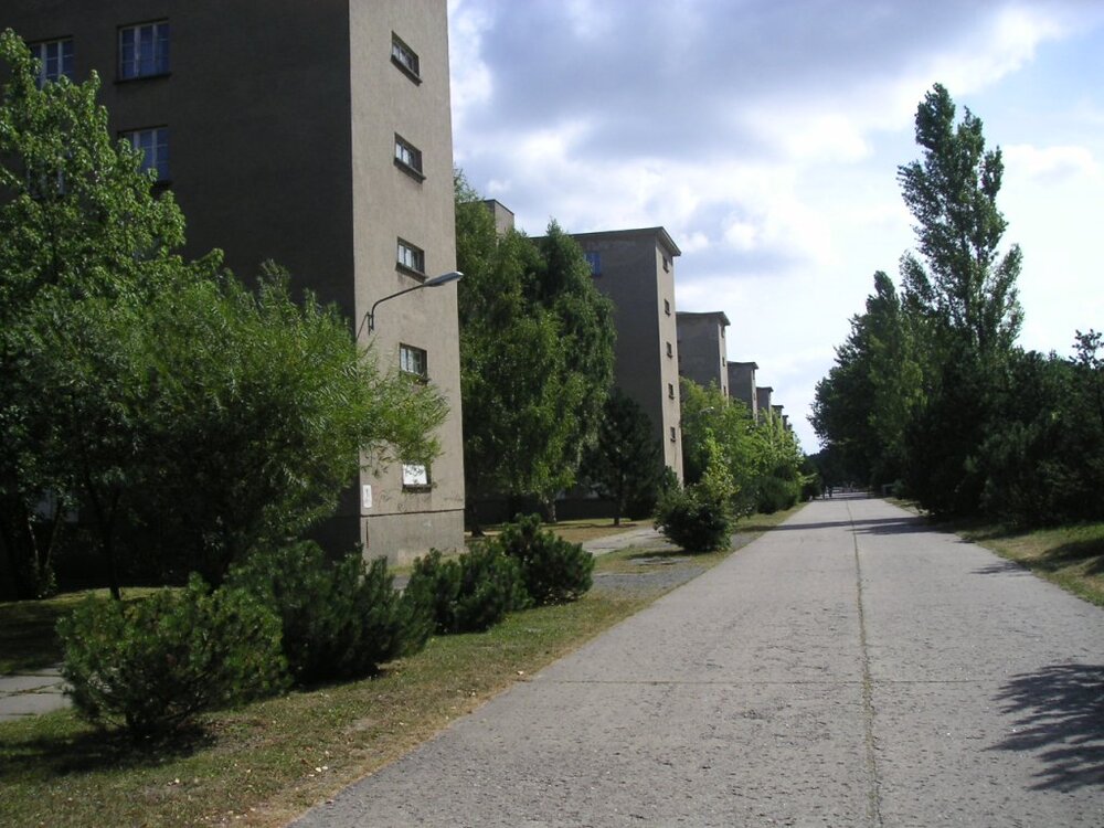 PICT0062.thumb.jpg.839c47635389cfcc534ef4d5b62f317c.jpg