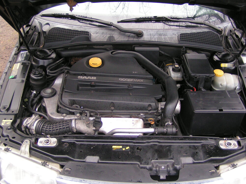 PICT0069.thumb.JPG.153a0ef0f64f92350a95eb62cd60a544.JPG