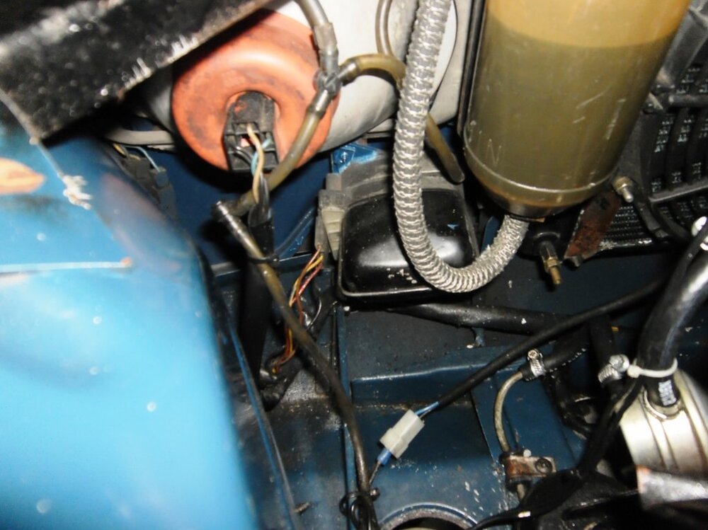 PICT1300.thumb.jpg.c8dc89b531b3448f831c49a0f9e25b62.jpg