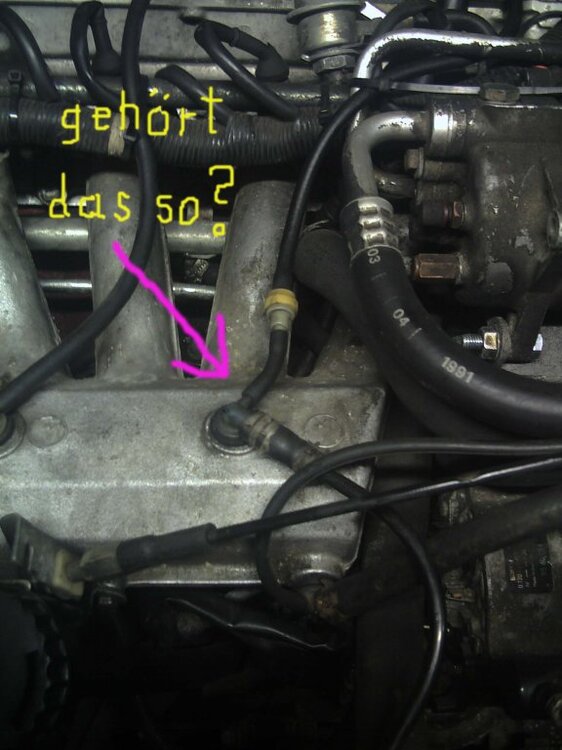 PICT3387II.thumb.jpg.4c2df5797e3ed0f4ba58e253b20473df.jpg