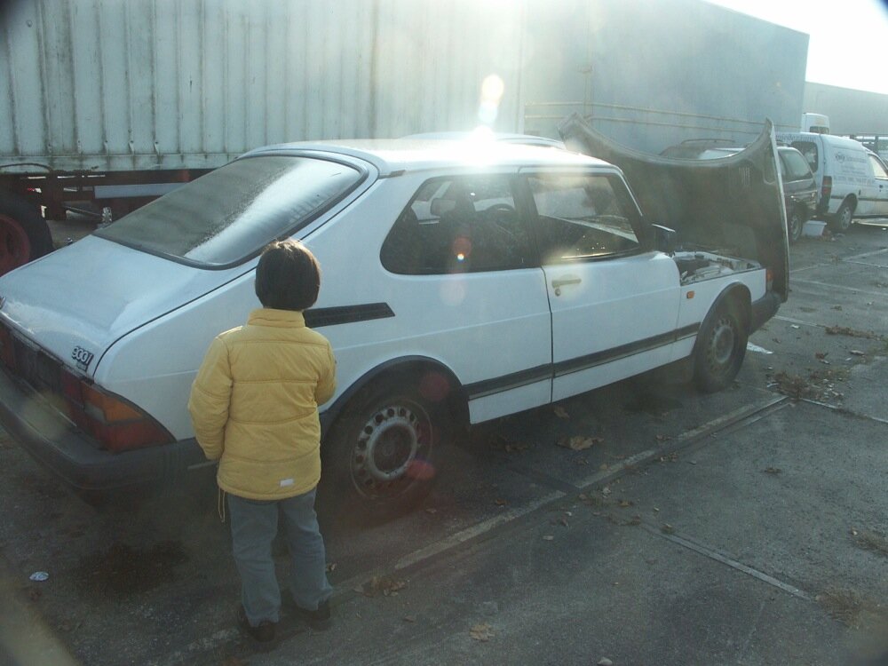 PICT4313.thumb.jpg.5f51fdddd54aee7e1b63153fccf1e1d1.jpg