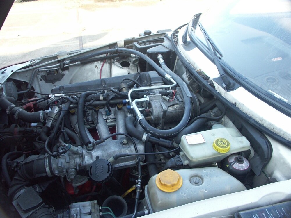 PICT4317.thumb.jpg.852dd7aa089c1d8d995a1f73ac057317.jpg