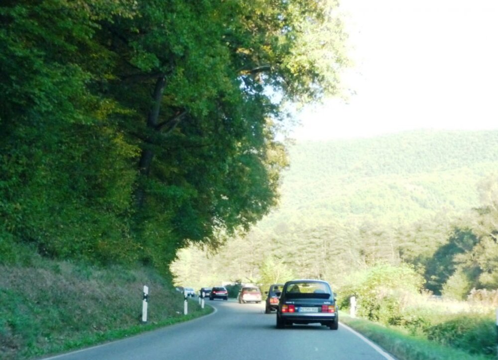 Pfalztreffen2011037.thumb.jpg.32240c86e9a1ba78b71bdbbd15411f8f.jpg
