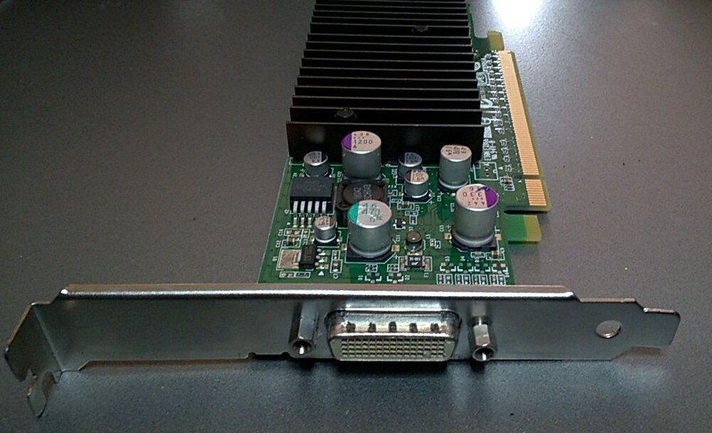 QuadroNVS280_rear.thumb.jpg.d459a933a89d17a10ca7ae43ff1c0fdc.jpg