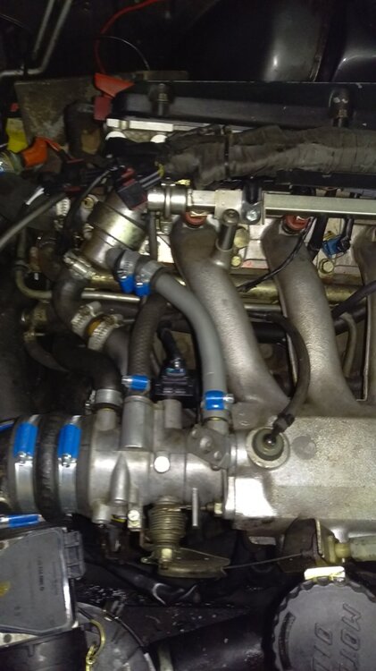 Raxofix.thumb.jpg.50d47dd70e02878ca91f1fa0164e30dc.jpg