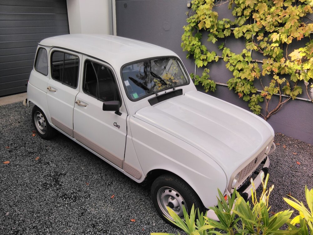 Renault4Clan1990(42)-Kopie.thumb.jpg.0156b4ccbf22f565c9b1d3c83868d551.jpg