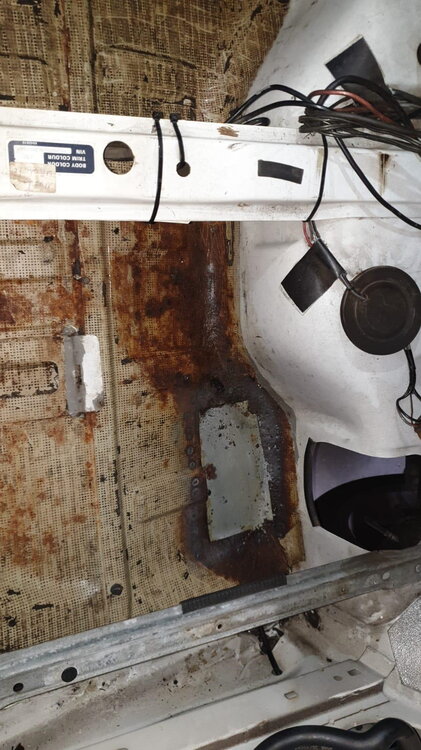 Rost_Kofferraum02.thumb.jpg.05f6488db1e9b0c20c6c3fce4984543d.jpg