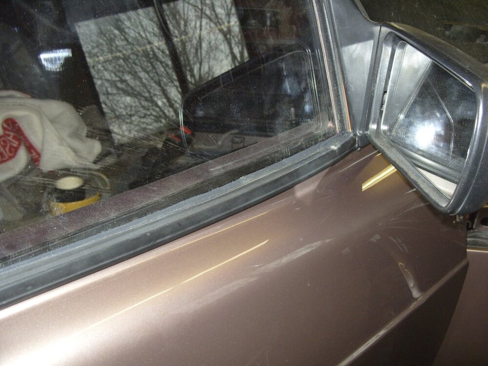 S1050805.thumb.jpg.7c9142530561ed514b78dcfc6cc5e6a7.jpg