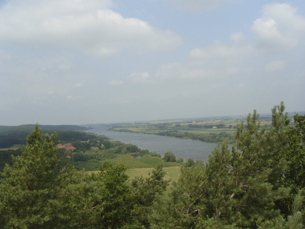 S1051250.thumb.jpg.9f29ade6c2930bb7ba57a0c6d35680d3.jpg