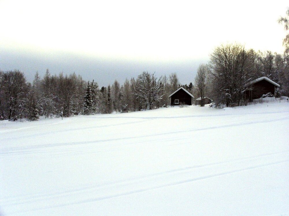 S1052004a.thumb.jpg.7583a41044ee08f8862b8facb2304d84.jpg