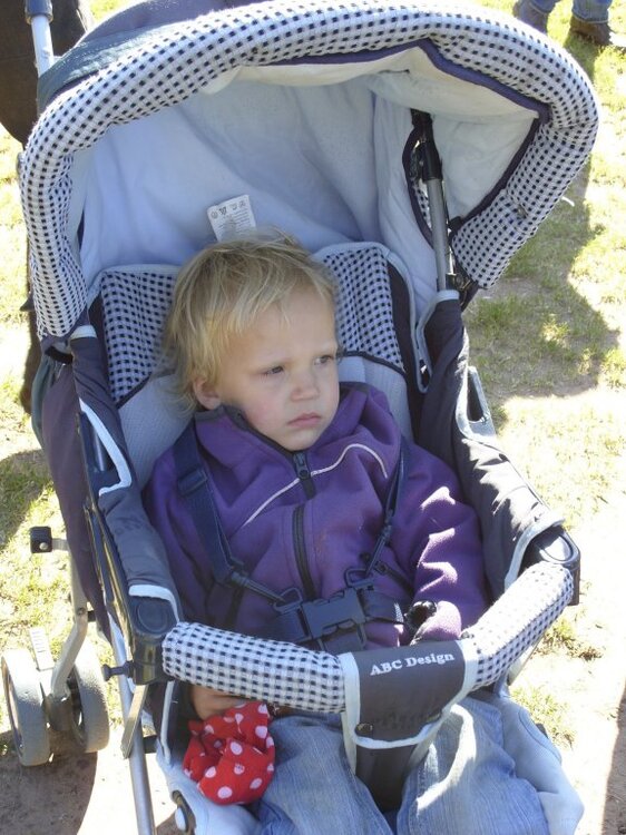 S1053103.thumb.jpg.ca976bc2bd406fd8f18be4fa5974e23c.jpg