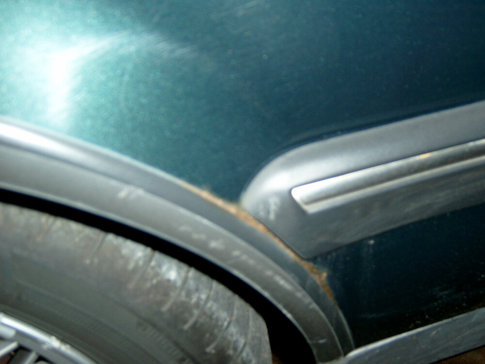 S3500259.thumb.JPG.fcd72fd9649d1cb55fdc53bac8a33938.JPG