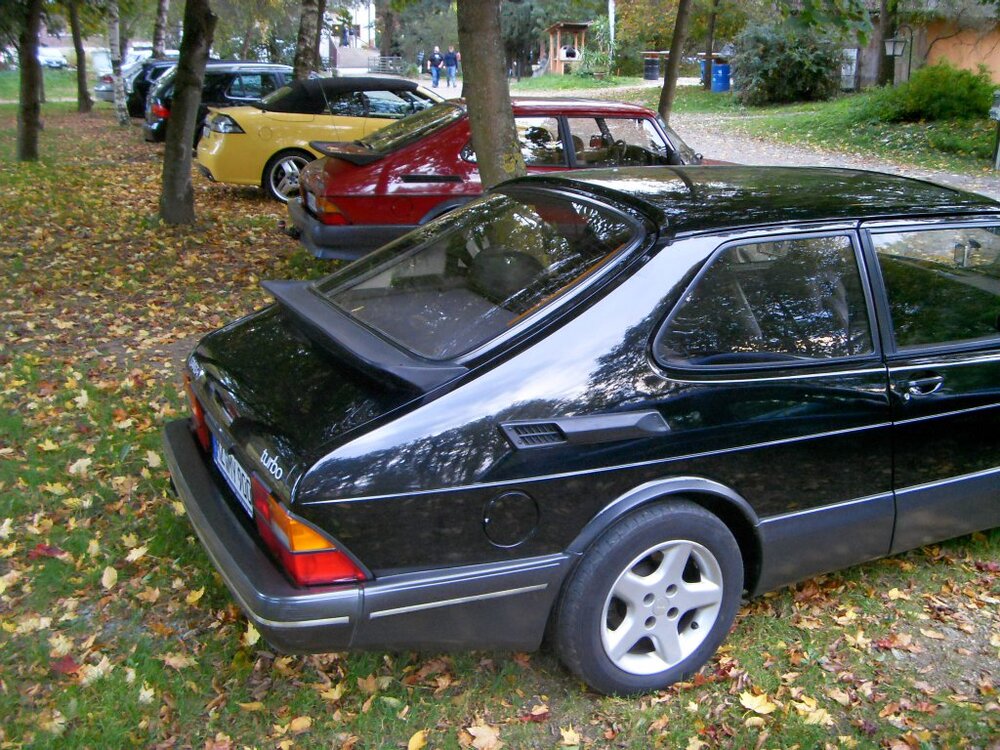 SDC12002.thumb.jpg.0e53eb566624b2e9e47c4b71f4e03991.jpg