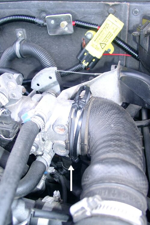 STRAPS.thumb.JPG.d24b139e54a9241b85bf99b316c70550.JPG