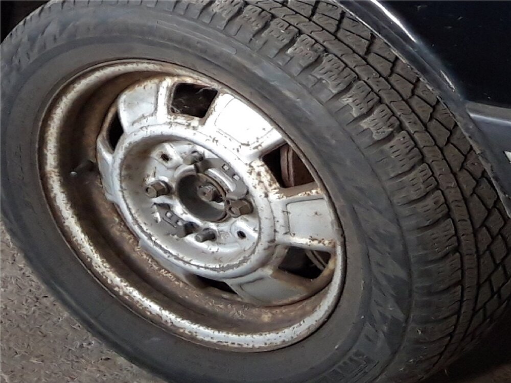 SVT.thumb.jpg.25d94268b6d971017ba31fa103ba8efb.jpg