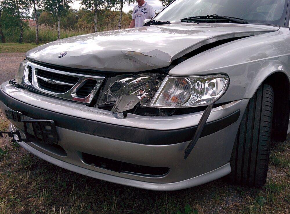 Saab-Wildschwein.thumb.jpg.42612530542dd5d2e4bb28426def58a4.jpg