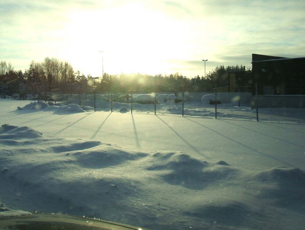 Saabzaun-001.thumb.jpg.baa1a3ff5e8a02f650d4b382e7b19d44.jpg