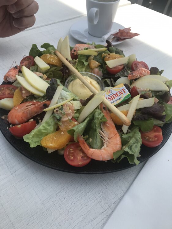 Saladenordique.thumb.jpg.5d20dc777fabacda710569573e2e1d66.jpg