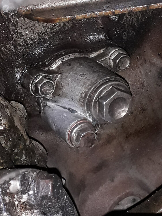Schmodderkappe3.thumb.jpg.c8d71043ee0e5348346e8fd68681932d.jpg