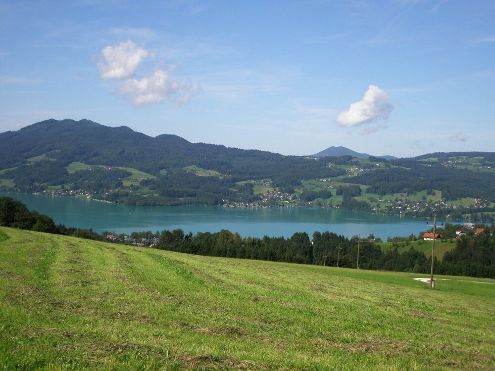 SchneImpressionen.thumb.jpg.4551c601ba4a08812ee9d66bca04f410.jpg