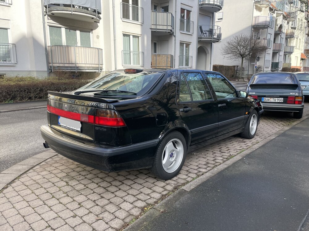 SchwarzeLady08.thumb.jpg.8798d160c3638bc1d88f8c8369d4690e.jpg