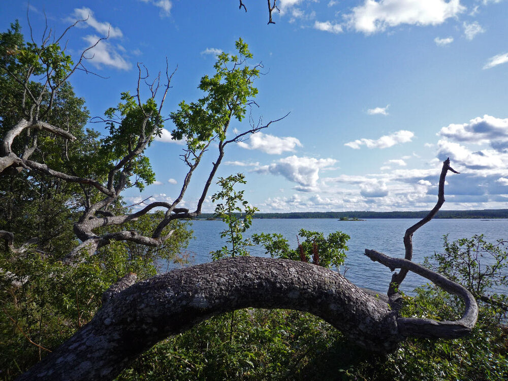 Schweden-66.thumb.JPG.3af6b7ca61656ed9e38ec3d5202988dc.JPG