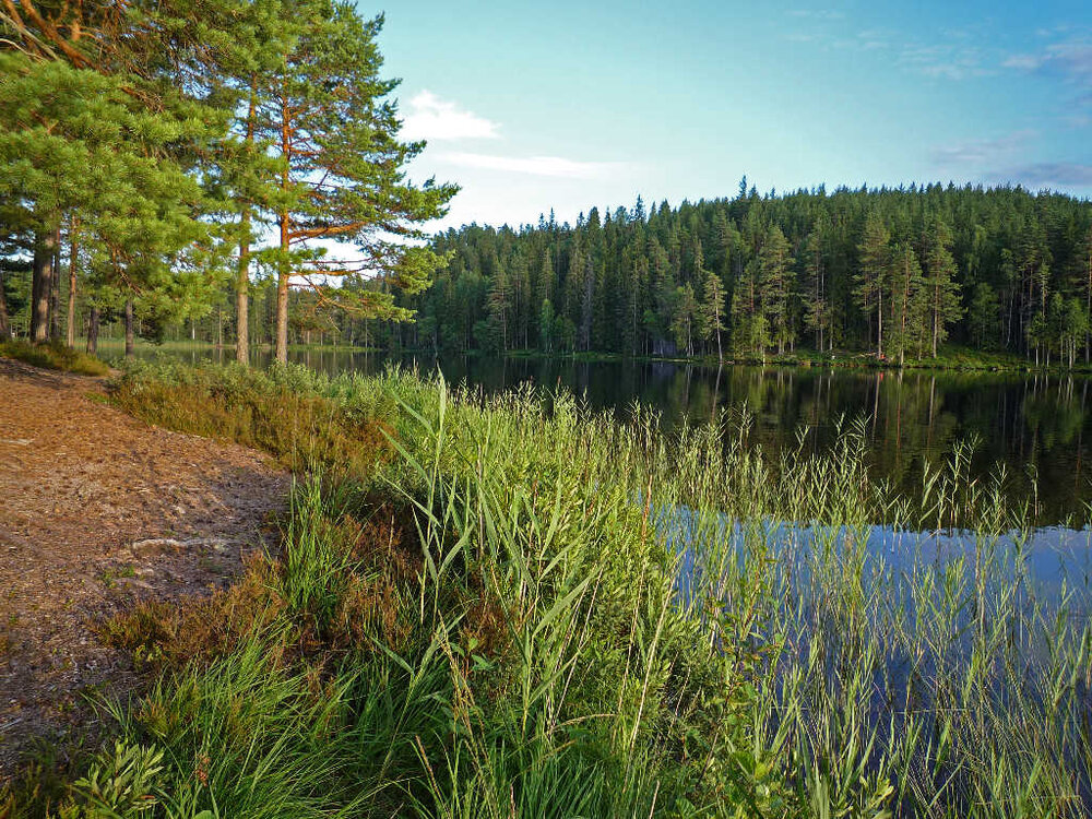 Schweden-82.thumb.JPG.6f2de8e2ded021fb83c575666a9d6b3c.JPG