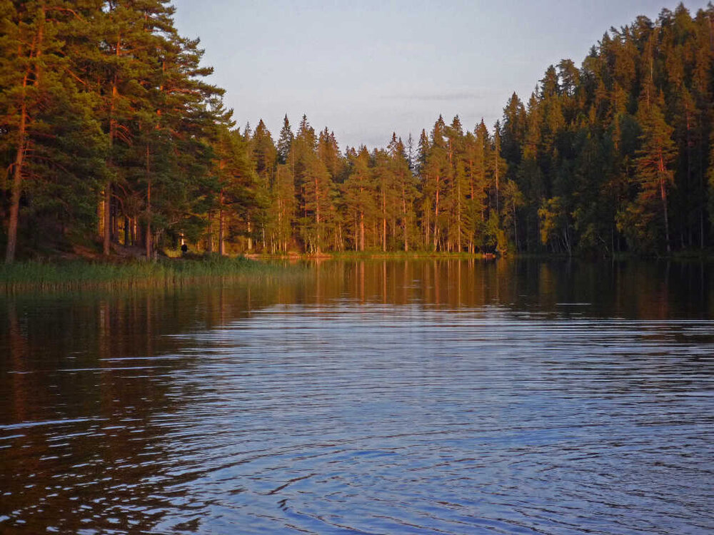 Schweden-84.thumb.JPG.13d7684019748832ebaa11822abeff8a.JPG