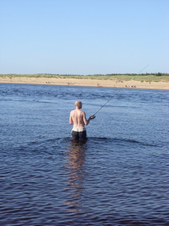 Schweden2012139.thumb.jpg.4e3e3fe881e9f837fc4b9b8b6b19d658.jpg